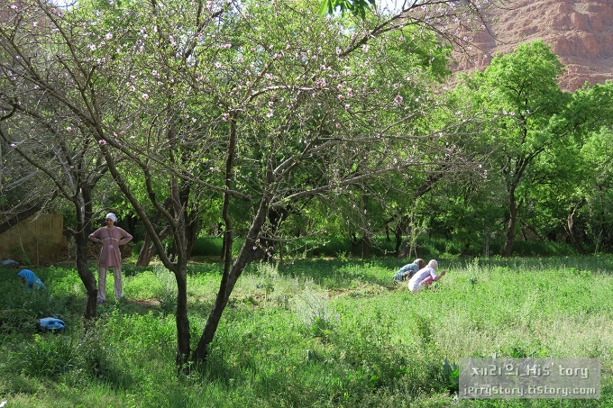 237E194E56D85E750BE4AD