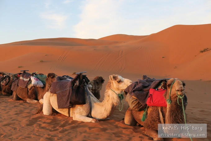 276E883D5701387C316443