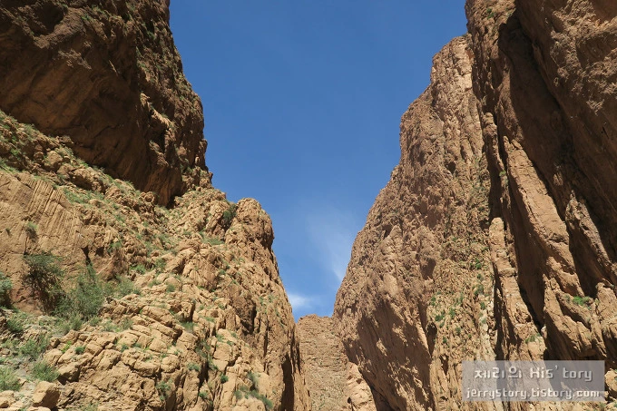 2159874B56D85E97038B3B