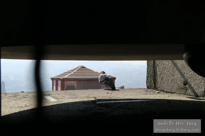 2229664C55AA107926D43C