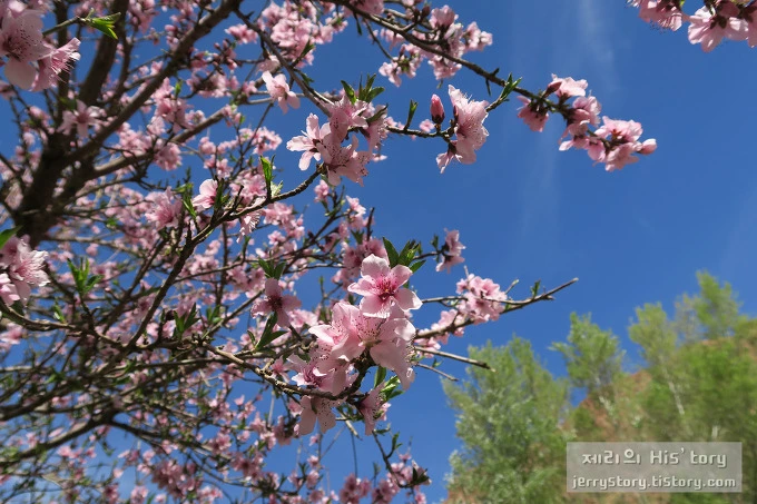 2423104856D85E913028B0