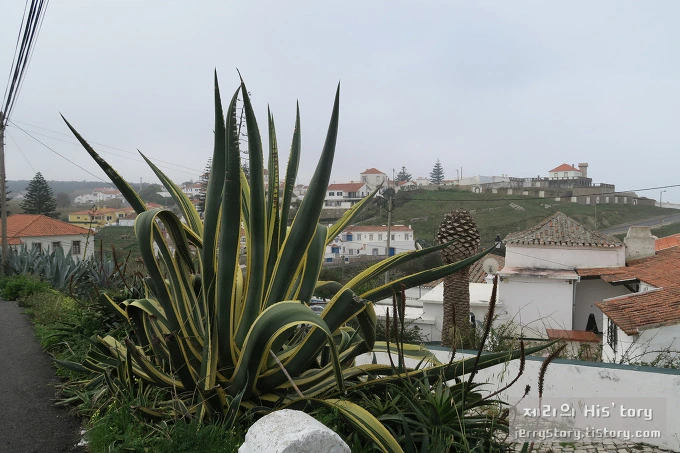 230F723D55B3BA162888F4