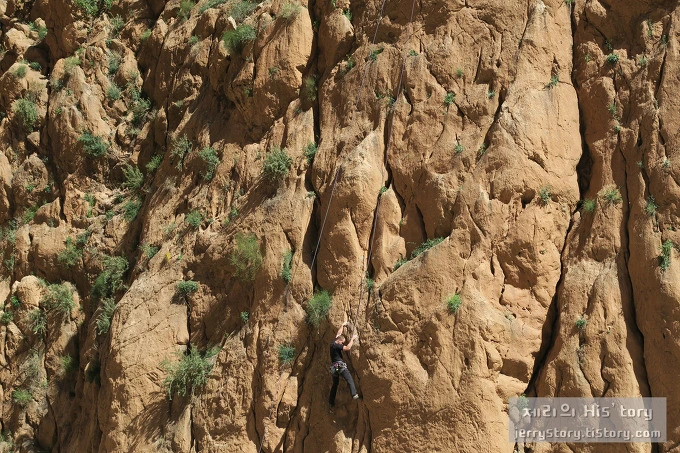 2156A24B56D85EA2067C3A