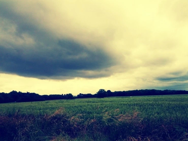 다운로드 (22).jpeg