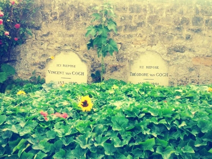 다운로드 (24).jpeg