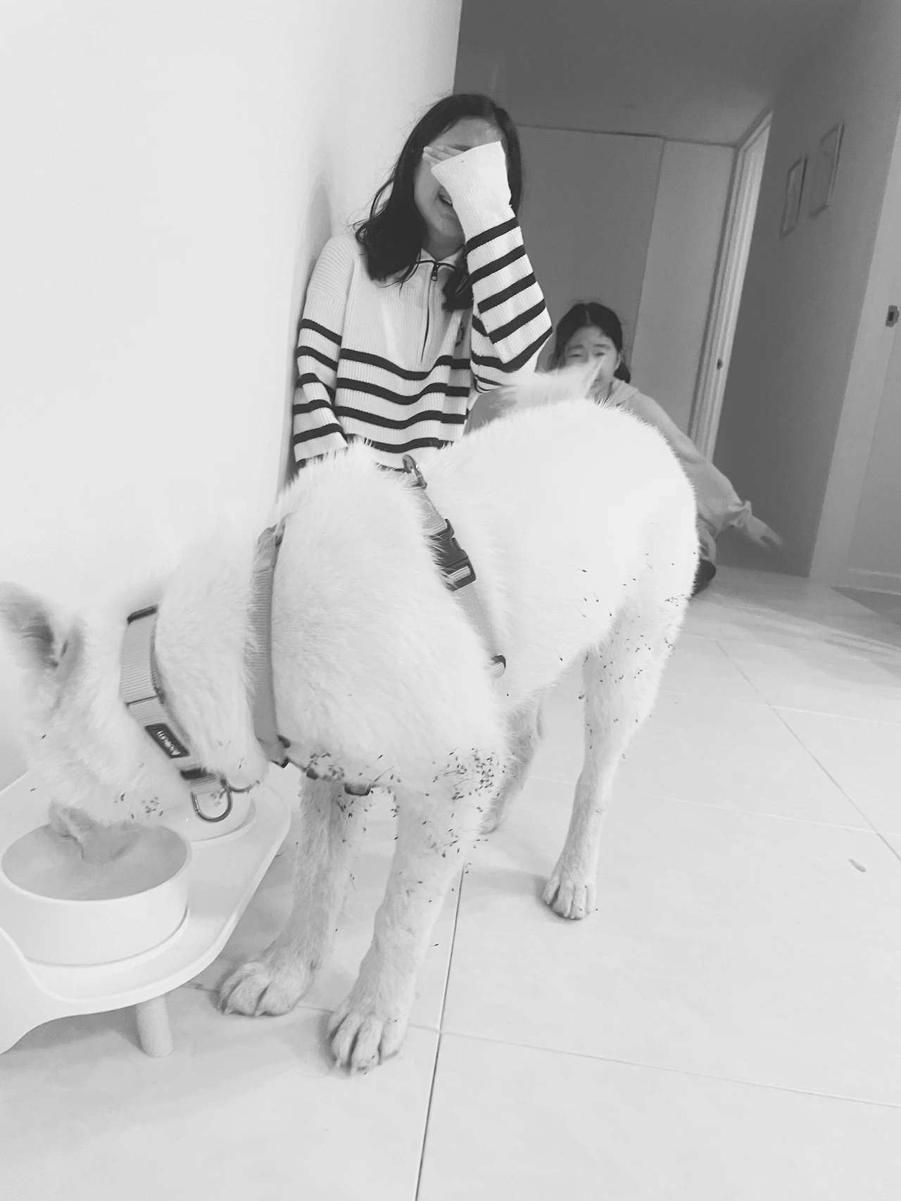 KakaoTalk_Photo_2023-12-09-21-54-30 001jpeg.jpeg