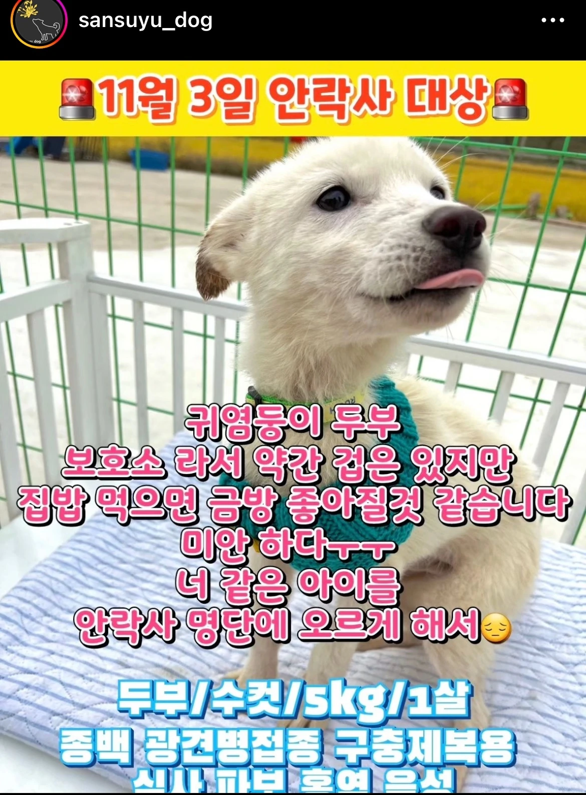 KakaoTalk_Photo_2023-12-09-22-27-25 001jpeg.jpeg