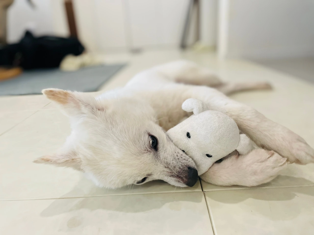 KakaoTalk_Photo_2023-12-09-21-54-34 006jpeg.jpeg