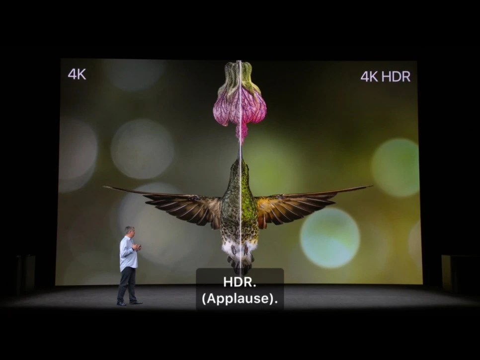 fullsizeoutput_14b.jpeg?type=w966