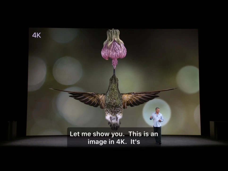 fullsizeoutput_177.jpeg?type=w966