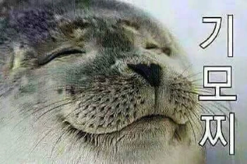 %EA%B8%B0%EB%AA%A8%EC%B0%8C.jpg?type=w580