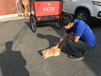 KakaoTalk_20180115_175640855.jpg?type=w580