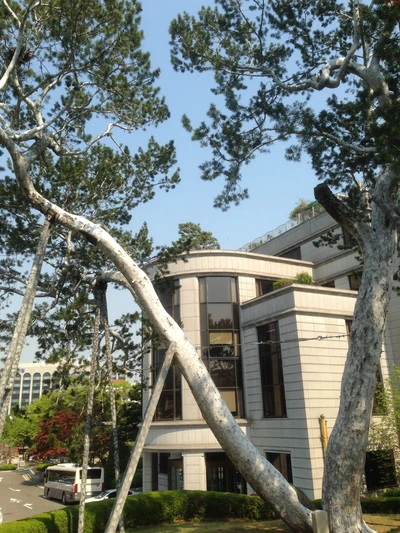 image_1657075601531189364962.jpg?type=w580