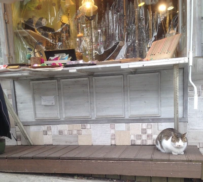 image_4989278041525403755920.jpg?type=w580