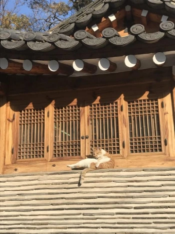 image_9203989051525402585792.jpg?type=w580