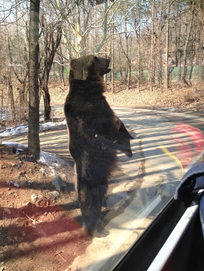 image_2598049661525923997917.jpg?type=w580