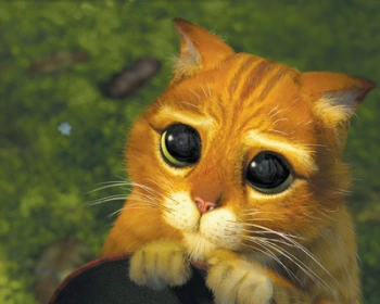 image_6960999651525922874841.png?type=w580