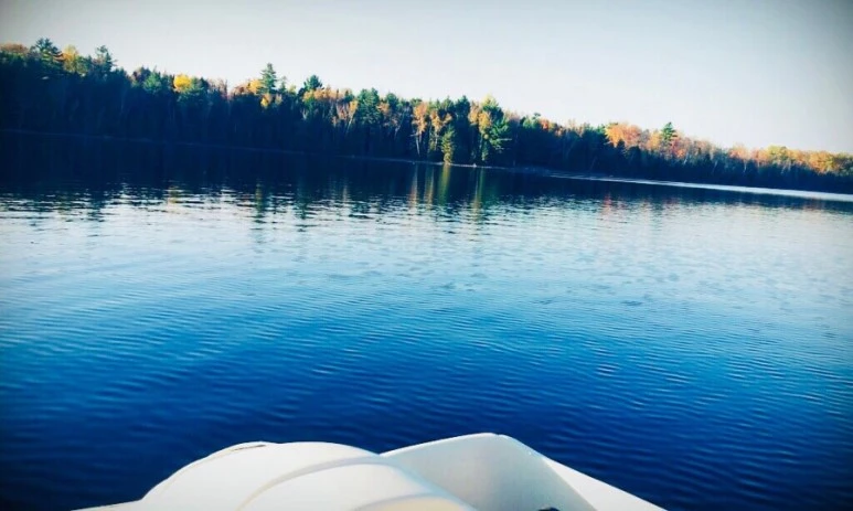 IMG_6206.jpg?type=w773