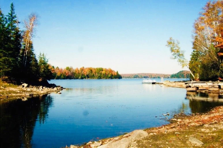 IMG_6204.jpg?type=w773