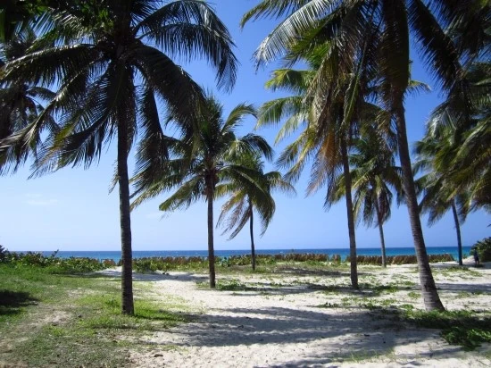 IMG_0432.JPG?type=w2