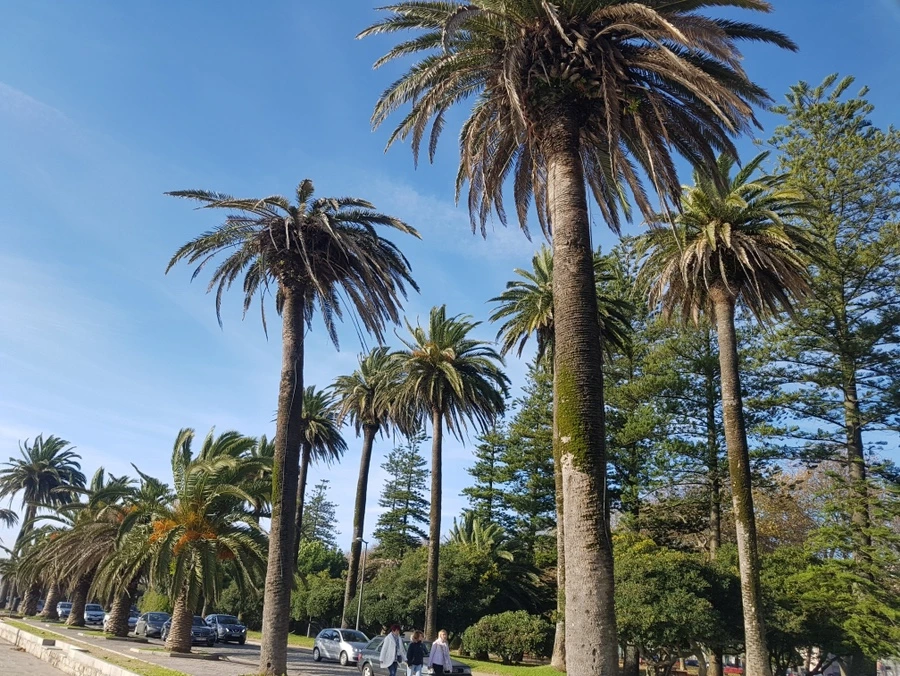 20181128_140854_Original.JPG?type=w966