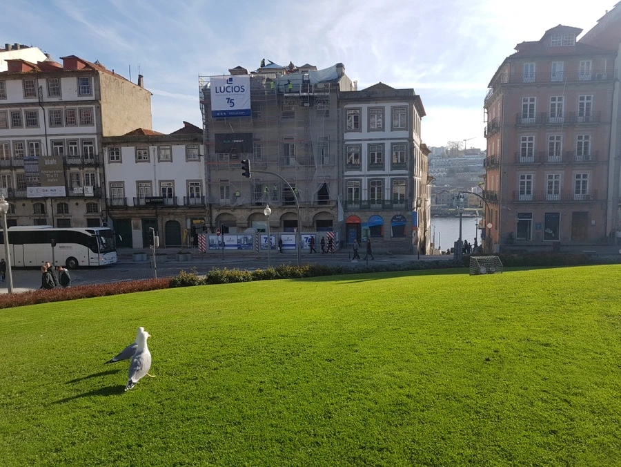 20181128_132425_Original.JPG?type=w966