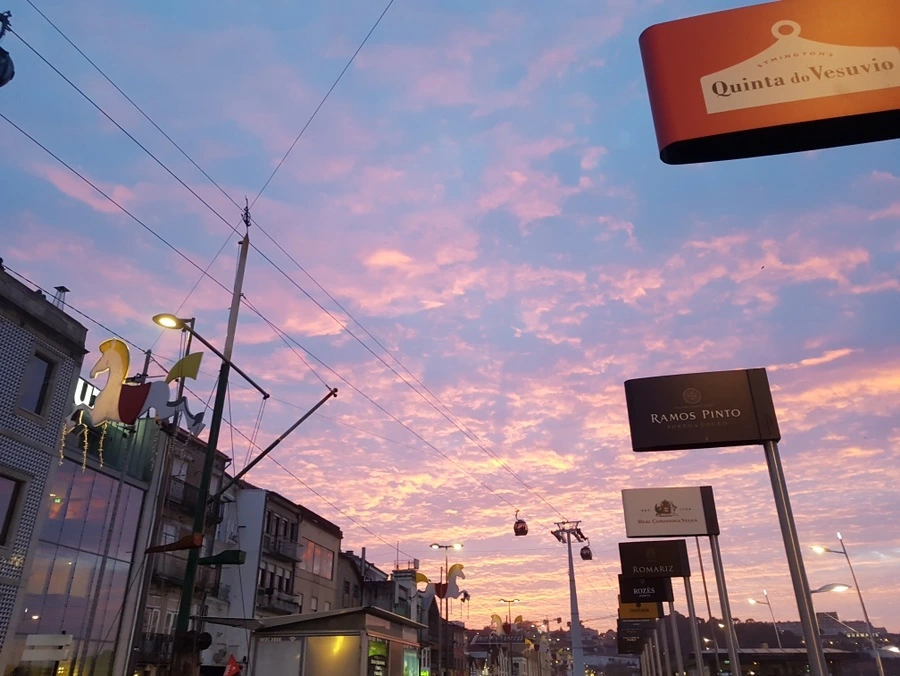 20181127_171459_Original.JPG?type=w966