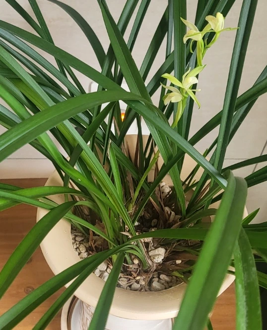 SE-d8b07846-52aa-4904-a6c8-c1d2623b35c7.png?type=w580