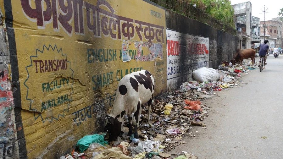 995AF63359EC163201DE1E