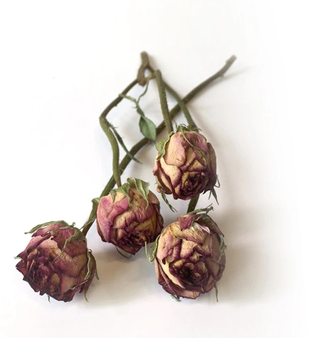 f3efWtKj0NLdc9oq-1oBETRKzDdU9NSSM5nbftSIjVu7FhPPryc5CDc4rOCPeCLee07vqB_9ZnCeqRxdgSg6VrLhZ9P4E6SfGTmjkxFhSrlvDLR_tLczCyZieZwcXtkwUWAIHAEq0mI