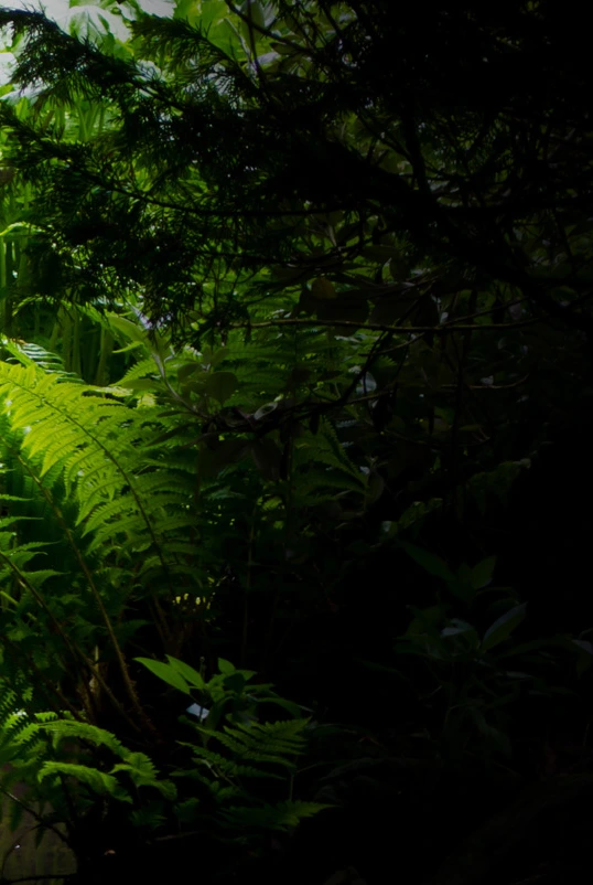 aX5UZ552qmQlh0LHe6CK0v3nRU33P6ZIIjNukvEMWsRydIPlpkSfuRIq5_HjNP5VNOEN2v7iYxFz9xpj7sgeTG9doZa2zgWWh5FXaDVo1n-NrlNIzo9k1zbOd1PdpOyXEWxeMnetktg