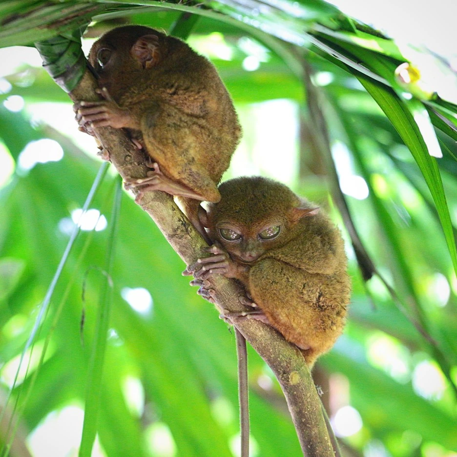 nunogouveiasousa_22709045_127714304654001_2482788351774556160_n.jpg?type=w1