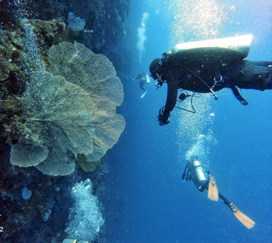 theo_1120_68930919_496551107578359_3618922155854369054_n.jpg?type=w1