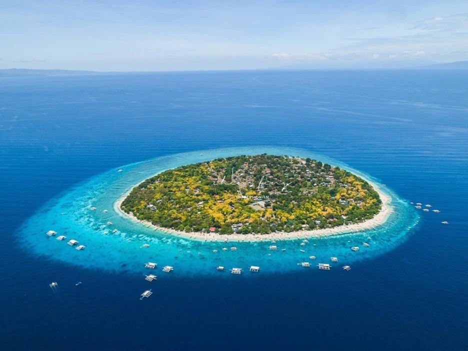 chaokudexu_69053352_1295083217331844_1822144909048700339_n.jpg?type=w1