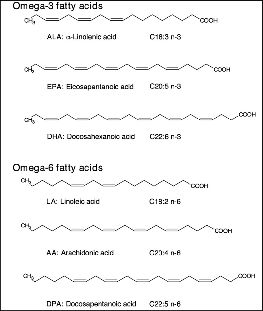 %EC%98%A4%EB%A9%94%EA%B0%806%ED%9A%A8%EB%8A%A502.png?type=w966