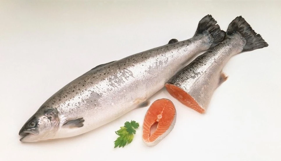 rTG%EC%98%A4%EB%A9%94%EA%B0%80306.jpg?type=w966