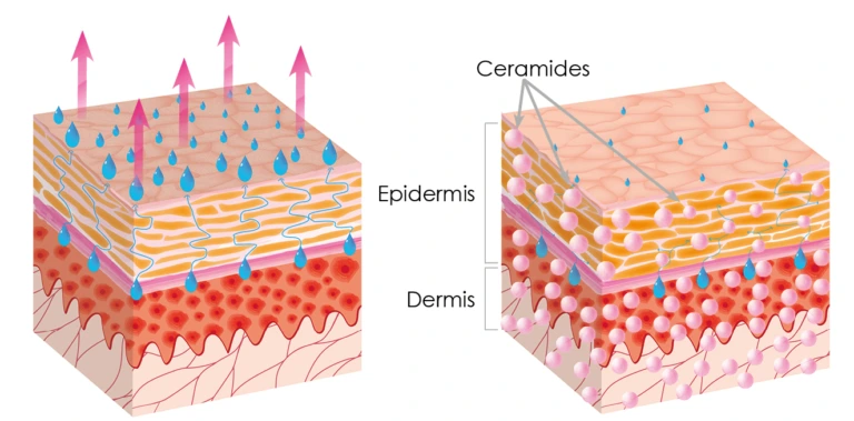 SE-e3706e0e-4010-42f2-9e1c-5fd6b04482c0.jpg?type=w966