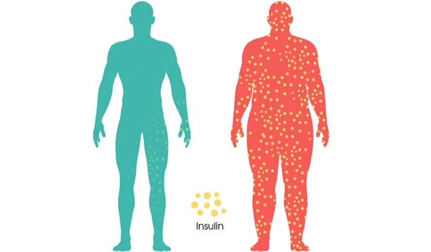 SE-4be60dc2-7614-4a08-8719-c16c32c015b7.jpg?type=w966