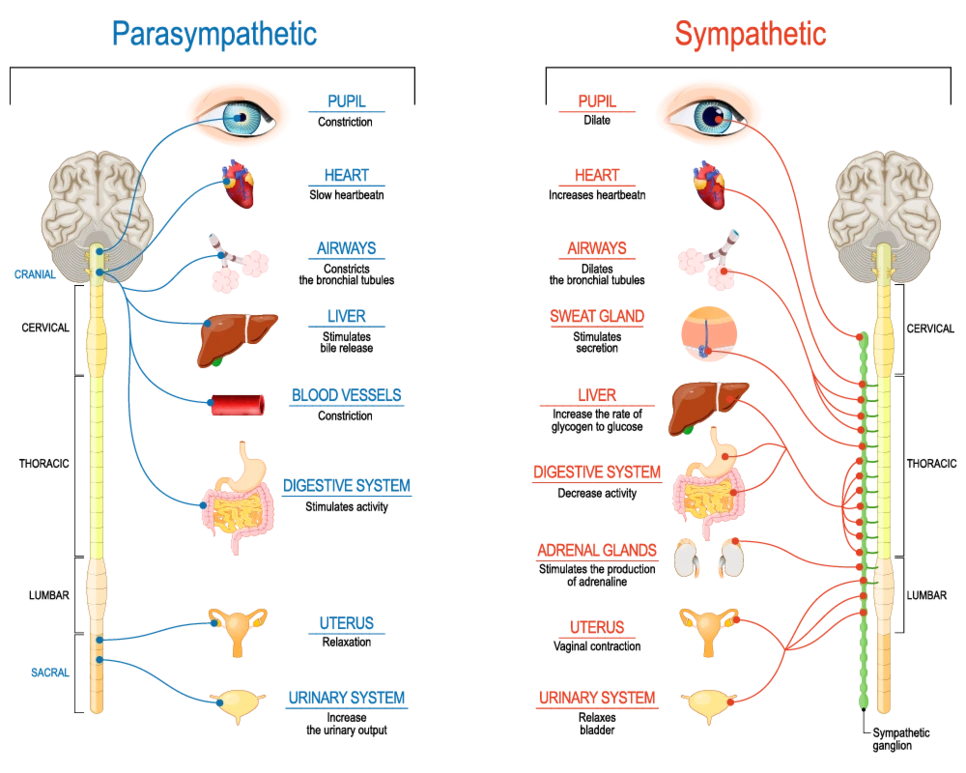 %EC%8B%9D%EA%B3%A4%EC%A6%9D%EC%9B%90%EC%9D%B802.png?type=w966