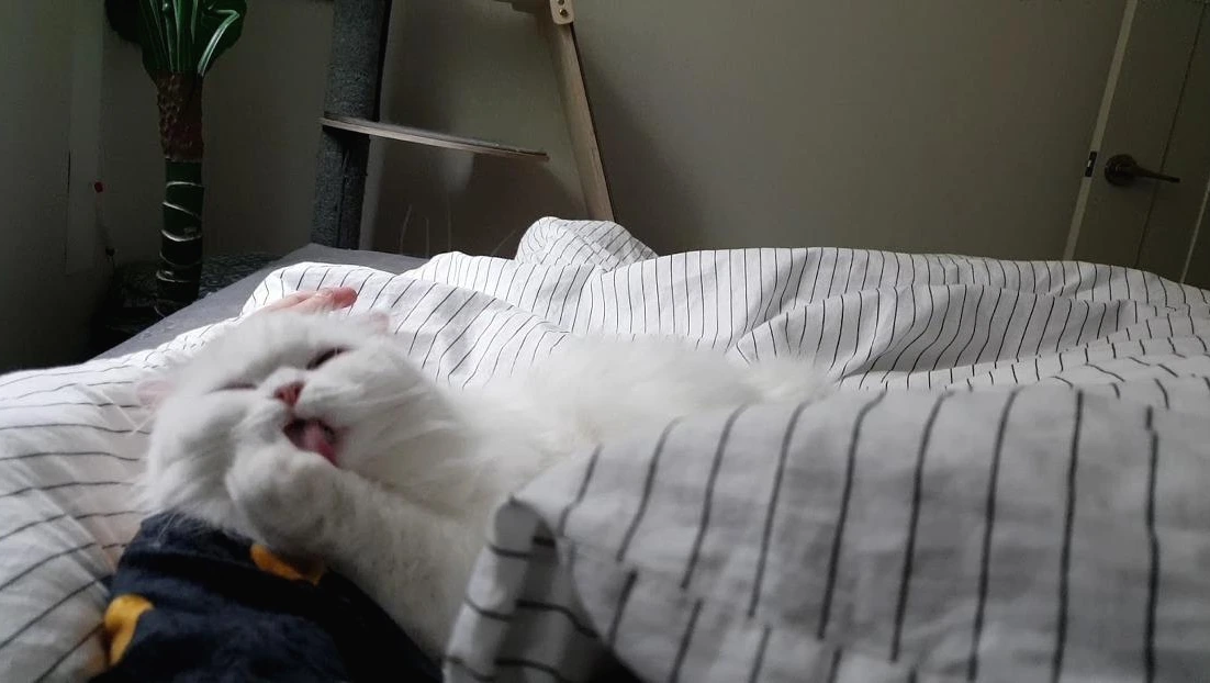 nCmziD4NBLMdJeDztemviDQuHdnZ0Vdc7-stbhiWabhSBwN8BlhkzbwTokMouc9KAk0QdcH-lzQ86ci1nHrAHL2ANbcKh7Wsm_tCTaTOLpFfRFVo547fdS7Z5GWC8JUZN8RS4d3e