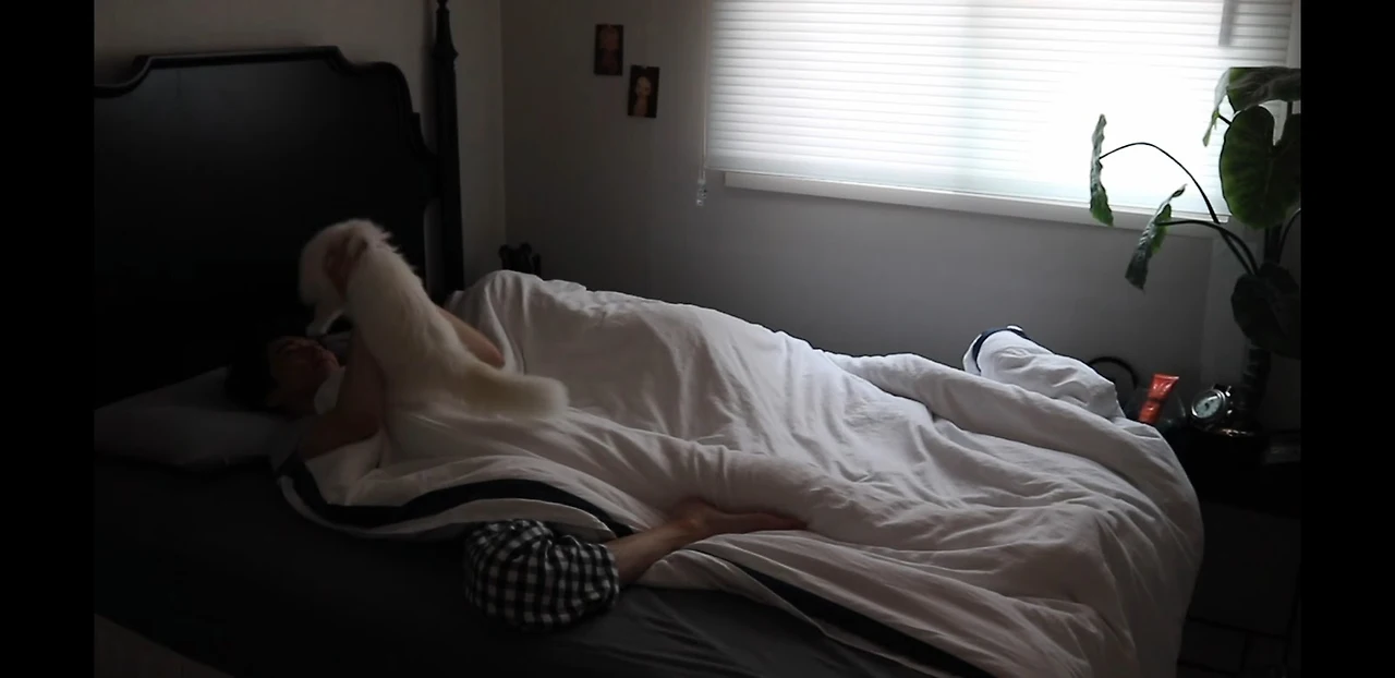 0Vmdt2lwrJZ7XbnMLsZBpDHP4B5NxDHsRoToDbqPmH97I1MrXp1z_w2V5WQhheBg30azDXn-8BOSPTDeuM3g2ycxERpVpdz_cl3sEMT91VkEalaAngLnSt5fvXPWaZFa20WEUwXN