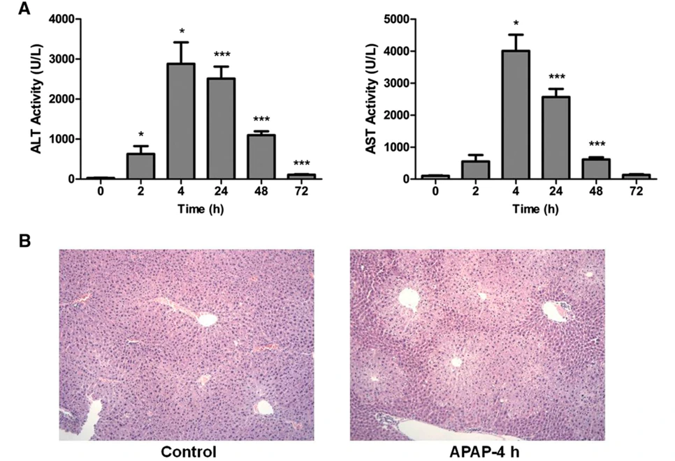SE-9e851626-9ba7-4d93-b0be-21aebc127e9a.png?type=w966
