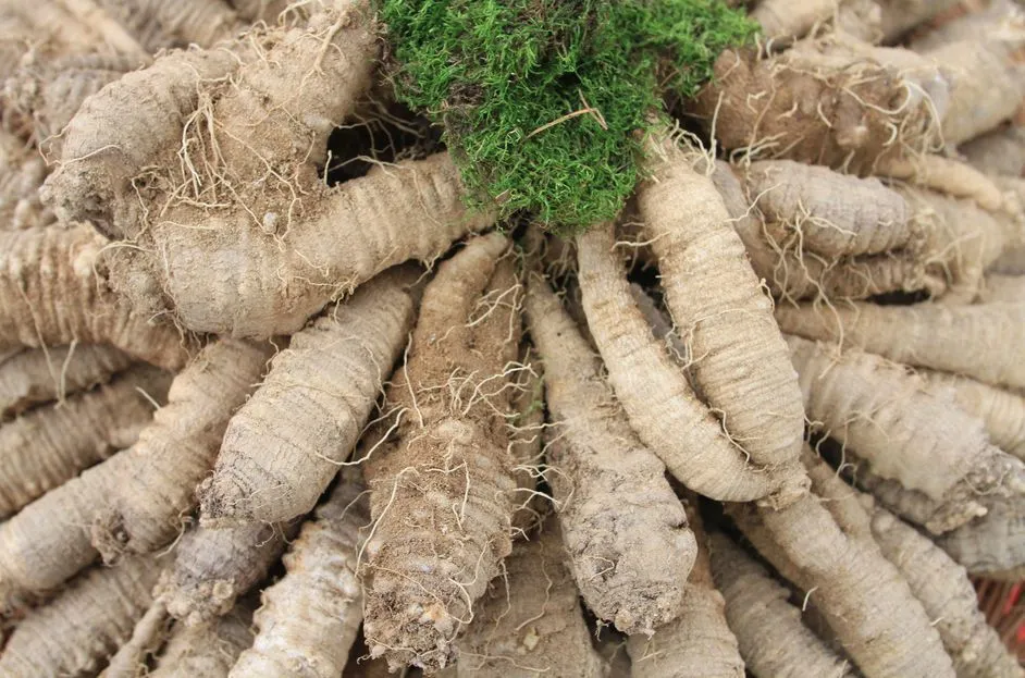 %EB%AA%A9%EC%9D%B4%EC%B9%BC%EC%B9%BC%ED%95%A0%EB%95%8C05.jpg?type=w966