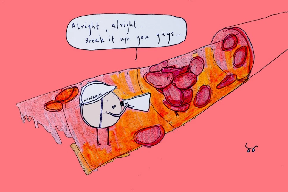 %EC%98%81%EC%96%91%EC%A0%9C%EA%B6%81%ED%95%A907.jpeg?type=w966