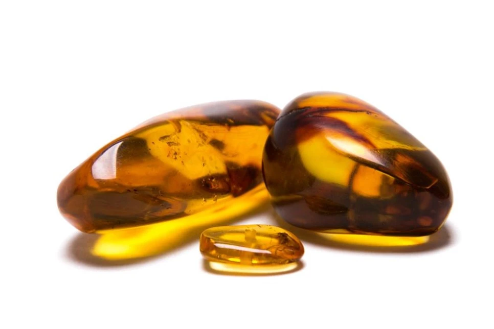 %ED%98%B8%EB%B0%95%EC%A6%99%ED%9A%A8%EB%8A%A503.jpg?type=w966