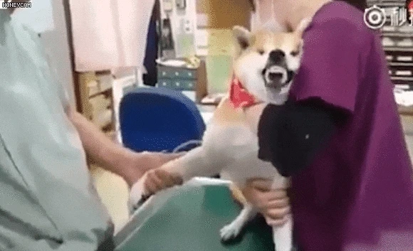 %EC%BD%94%EB%A1%9C%EB%82%98%EB%B8%94%EB%A3%A8%EB%9C%BB09.gif?type=w966