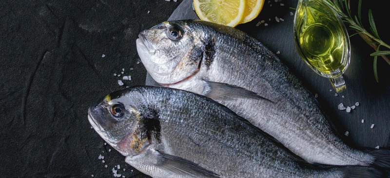 Fish-Collagen_HEADER.jpg?type=w966