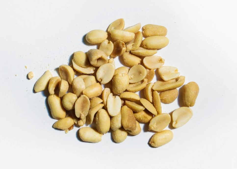 SE-9eb43994-91be-48c1-a722-45167c7a5329.jpg?type=w966