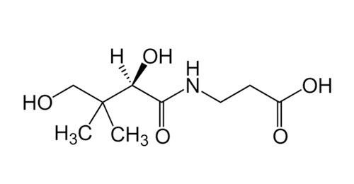 SE-d6854ad5-9214-4704-9eb6-f1342fad51ea.jpg?type=w966