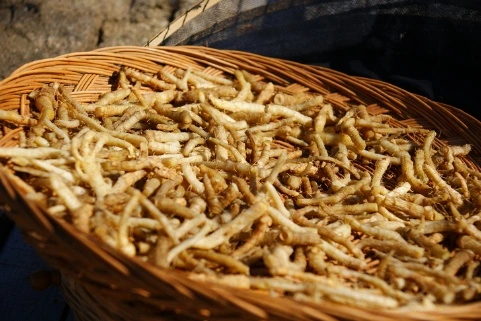 %EB%AC%BC%EB%8C%80%EC%8B%A0%EC%B0%A806.png?type=w966